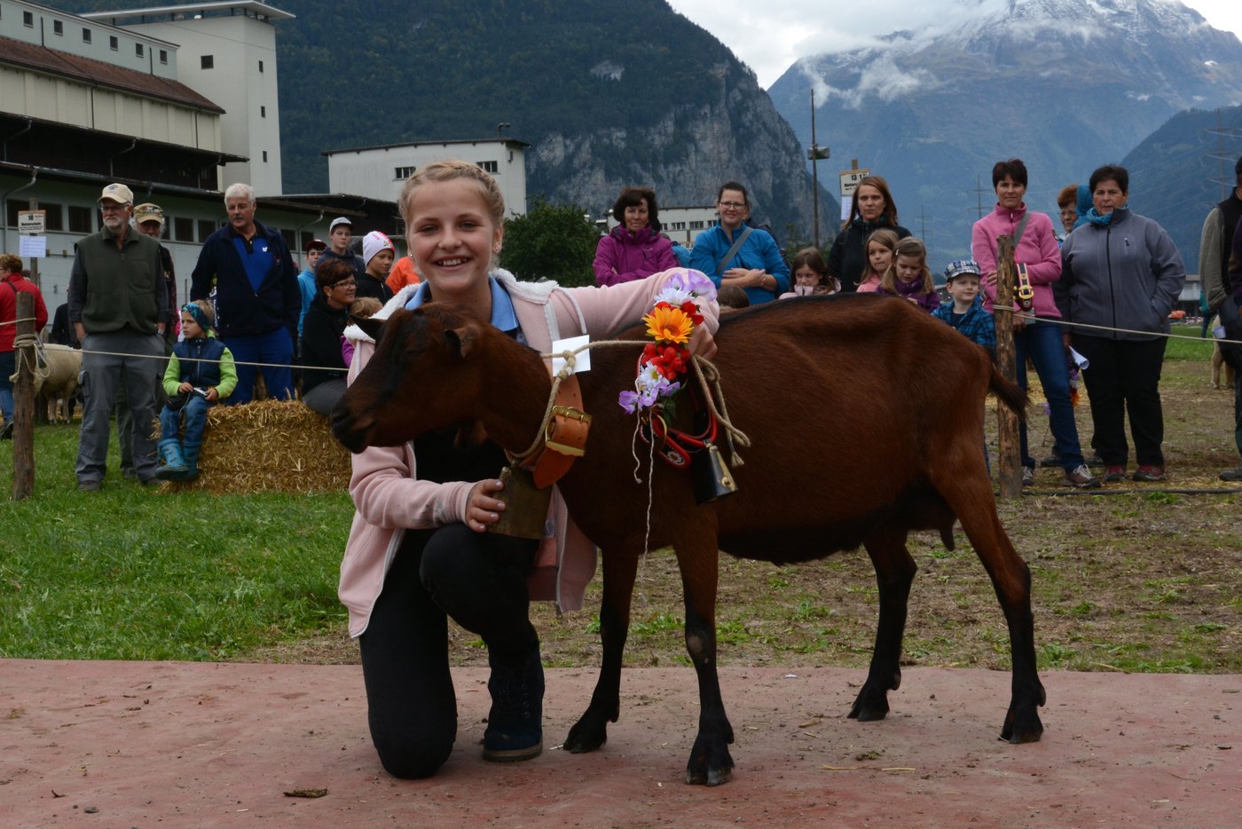 Die Miss Gemsfarbige Gebirgsziege Uriella von Theo und Toni Kempf, Attinghausen.