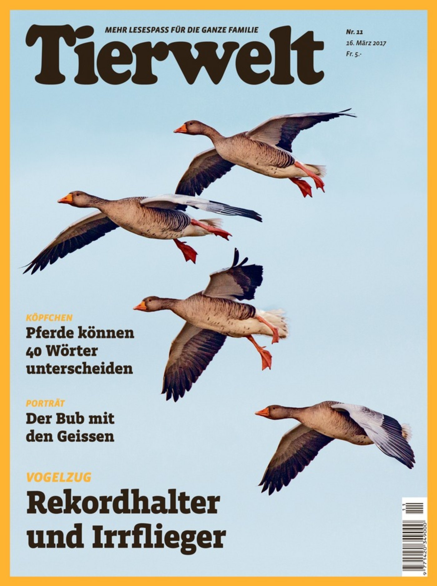 So sieht die erste Ausgabe der «Tierwelt» im neuen Layout aus. (Bild obs/Tierwelt)