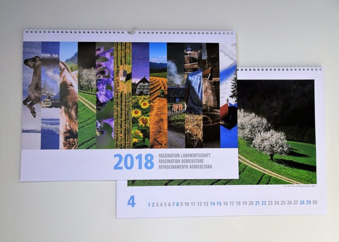 So kommt der neue Kalender daher. (Bild lid)