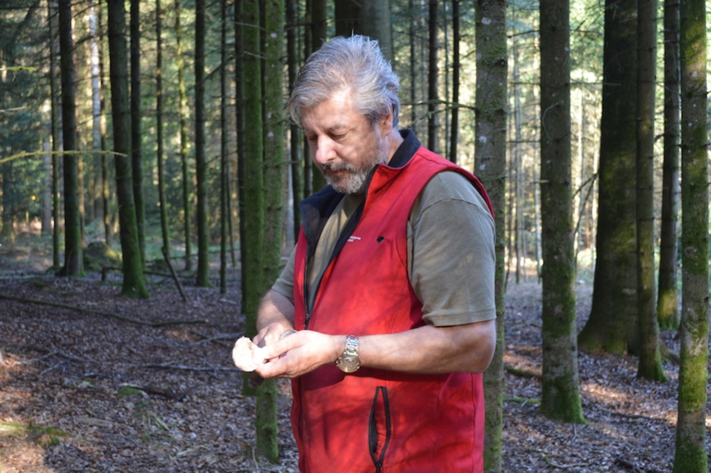Auch die wilden Pilze interessieren Laubscher - in seiner Freizeit streift er gerne durch die Wälder, auf der Jagd nach Maronenröhrlinge, Rotfussröhrlinge, Goldröhrlinge, Steinpilze, Frauentäublinge, Boviste und viele mehr.