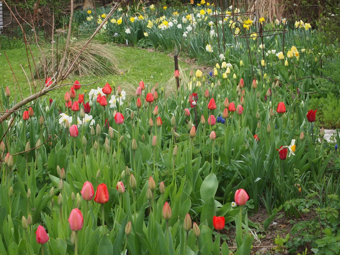 Für andauernde Freude: Mischungen von bewährten Arten und Sorten mit verschiedenen Blütezeiten.	(Bilder Ruth Bossardt)