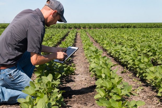 Die massgebend Daten nur einmal und direkt auf dem Feld erfassen: Das Interesse an auf die Landwirtschaft zugeschnittenen elektronischen Managementsystem ist gross. (Bild Shutterstock)