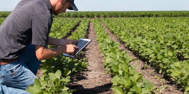 Die massgebend Daten nur einmal und direkt auf dem Feld erfassen: Das Interesse an auf die Landwirtschaft zugeschnittenen elektronischen Managementsystem ist gross. (Bild Shutterstock)