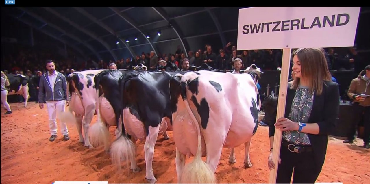 Die Siegergruppe aus der Schweiz mit ihren vier Kühen im Länderwettkampf.
