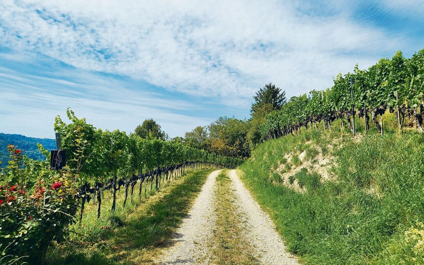 Immer weniger Spielraum für die Landwirtschaft im unteren Tösstal, dafür einiges mehr an Vorgaben. 