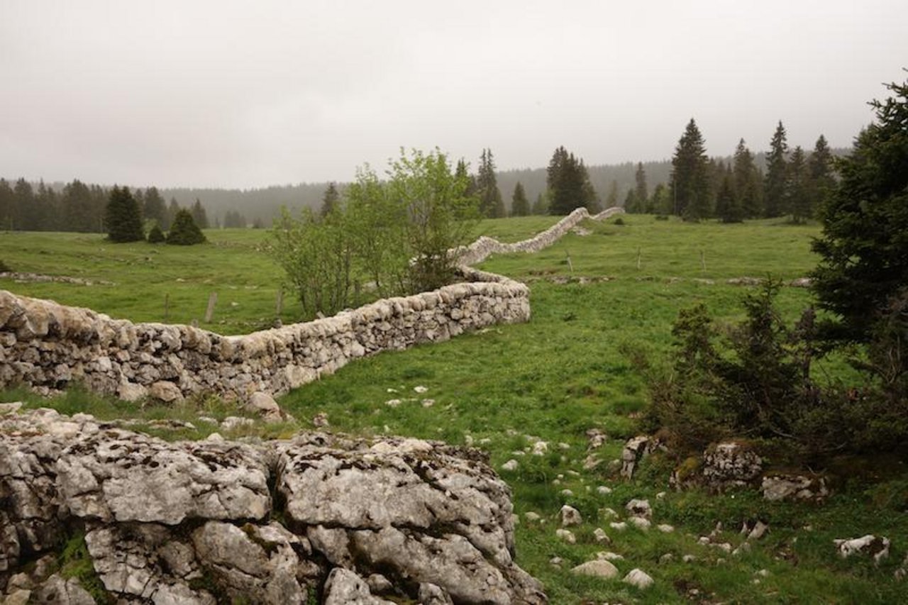 Im Gebiet des Parc Jura vaudois (PJV) unterstützt der Fonds Landschaft etwa Erneuerungen von Trockenmauern. (Bild Fonds Landschaft Schweiz)