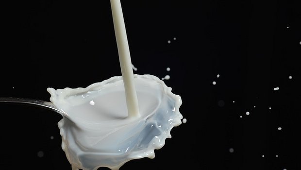 Ob die A2-Milch wirklich gesünder ist, ist umstritten. (Bild pixabay)