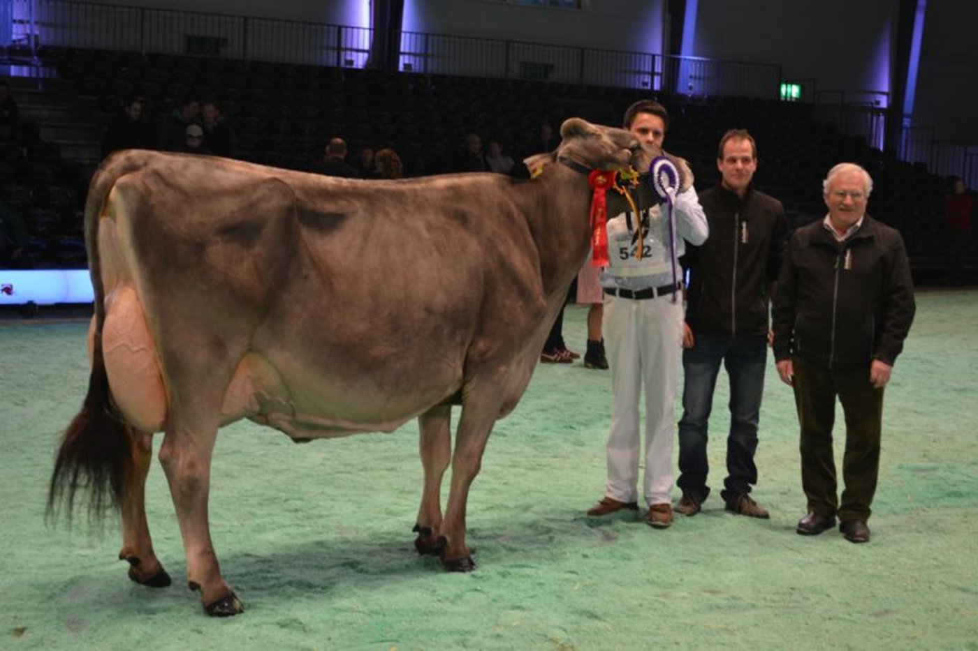 Die Gewinnerin des Tages: Collection Corella.