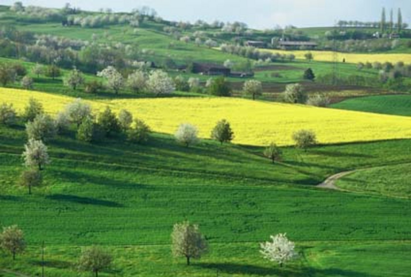 Schöne Landschaften wie hier das Fricktal sollen erhalten bleiben. (Bild: bva)