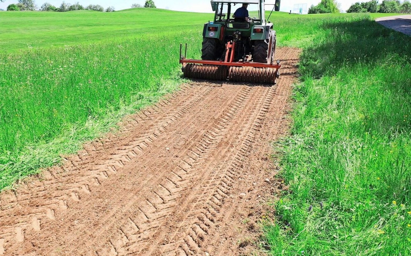 Die Aussaat einer Aufwertungsmischung erfolgt optimalerweise ab Mitte April. Danach muss die gesäte Fläche gut angewalzt werden.
