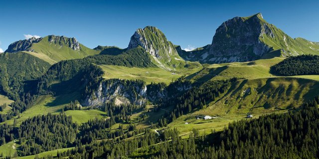 Das Gantrisch-Gebiet hat mehr zu bieten, als nur ein schönes Bergpanorama. (Bild Naturpark Gantrisch)