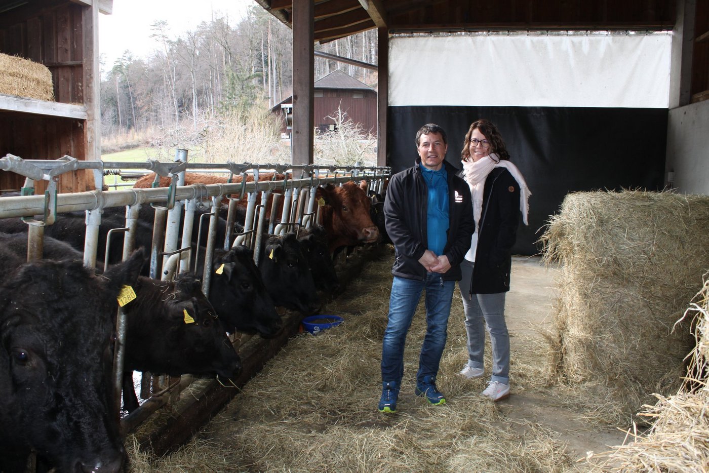 Der grosszügige Freilaufstall wurde 2015 gebaut. Beim Bau halfen Ursula und Thomas Fuchs ihre Ursprungsberufe: Sie ist Bauingenieurin, er Zimmermann und Holzbautechniker. (Bilder Belinda Balmer/BauernZeitung)