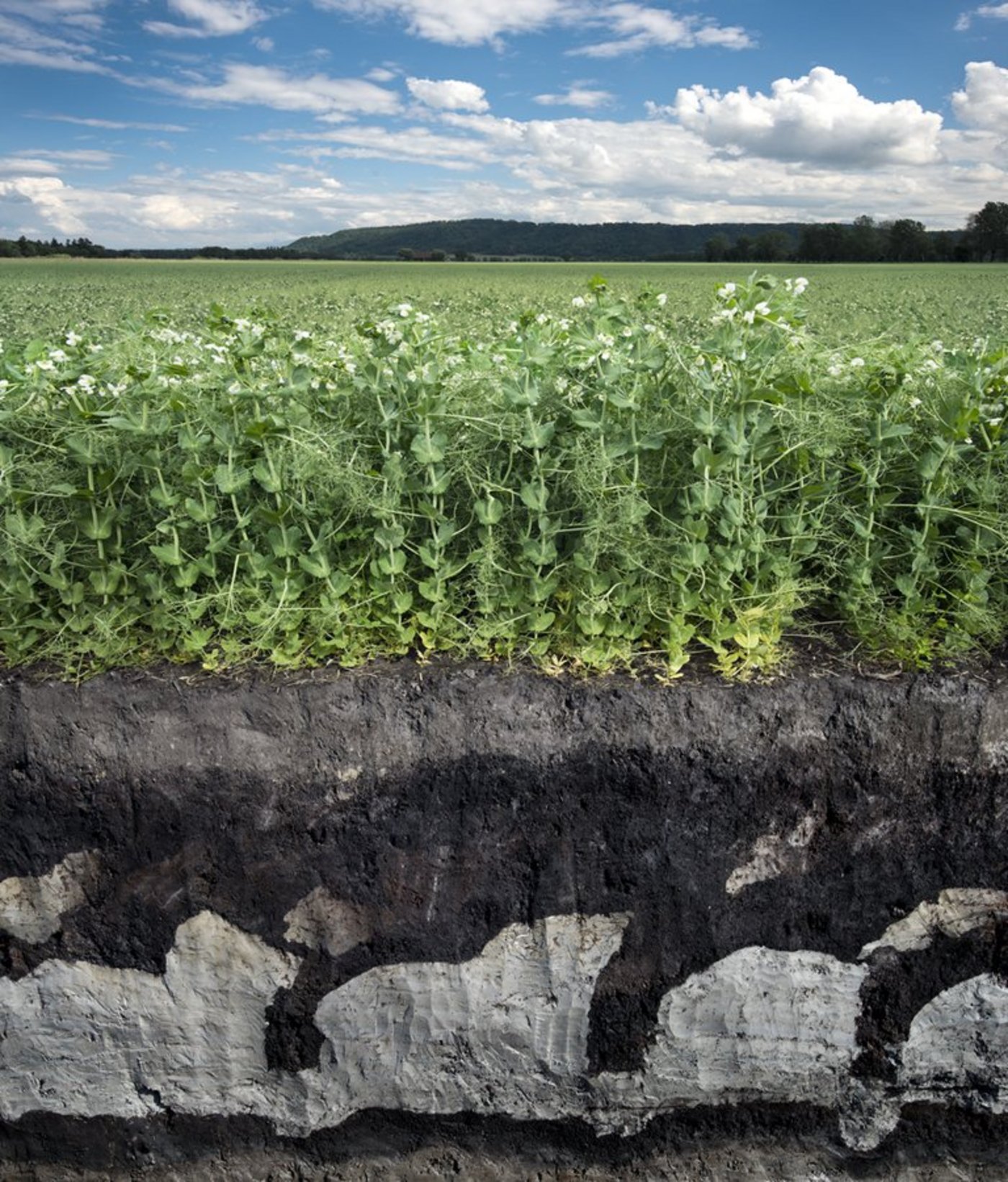 Der Bodenkalender schaut nicht nur auf, sondern auch in den Boden. (Bild zVg)