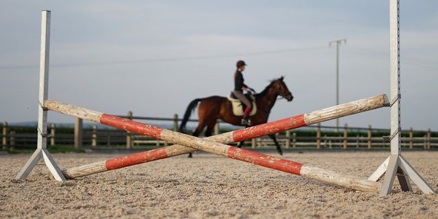 Die Reiterin ist noch vor Ort ihren Verletzungen erlegen. (Bild Felix Wolf/pixabay)