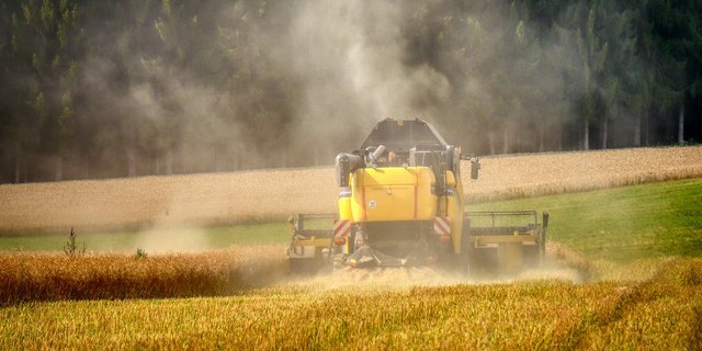 Bei einer Mehrheit der vom Ausland unterstützten Projekte in Afrika ignoriere das Wissen um die Vorteile der Agrarökologie, so Biovision. (Symbolbild Pixabay)