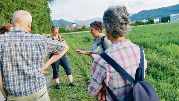 Wer Heilpflanzen finden will, der muss nicht einmal weit laufen. Direkt neben dem Flughafen in Belp findet Sandra Breu-Oberli viele Pflänzchen, welche gegen diverse Wehwehchen helfen. (Bild Daniela Joder)