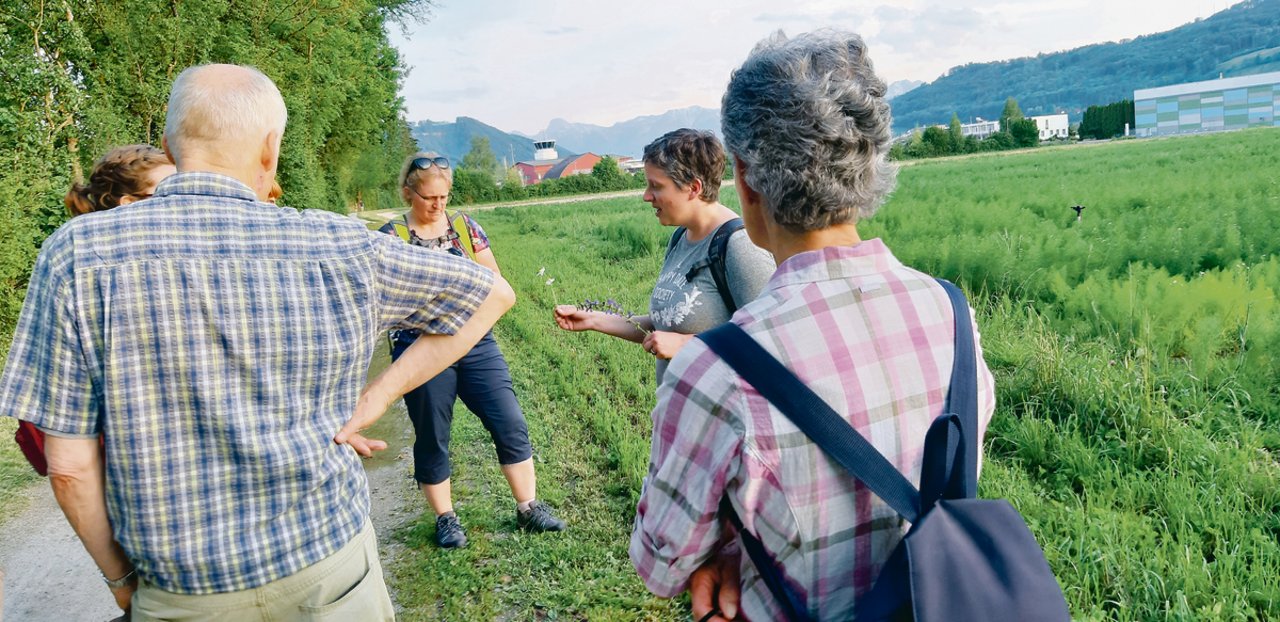 Wer Heilpflanzen finden will, der muss nicht einmal weit laufen. Direkt neben dem Flughafen in Belp findet Sandra Breu-Oberli viele Pflänzchen, welche gegen diverse Wehwehchen helfen. (Bild Daniela Joder)