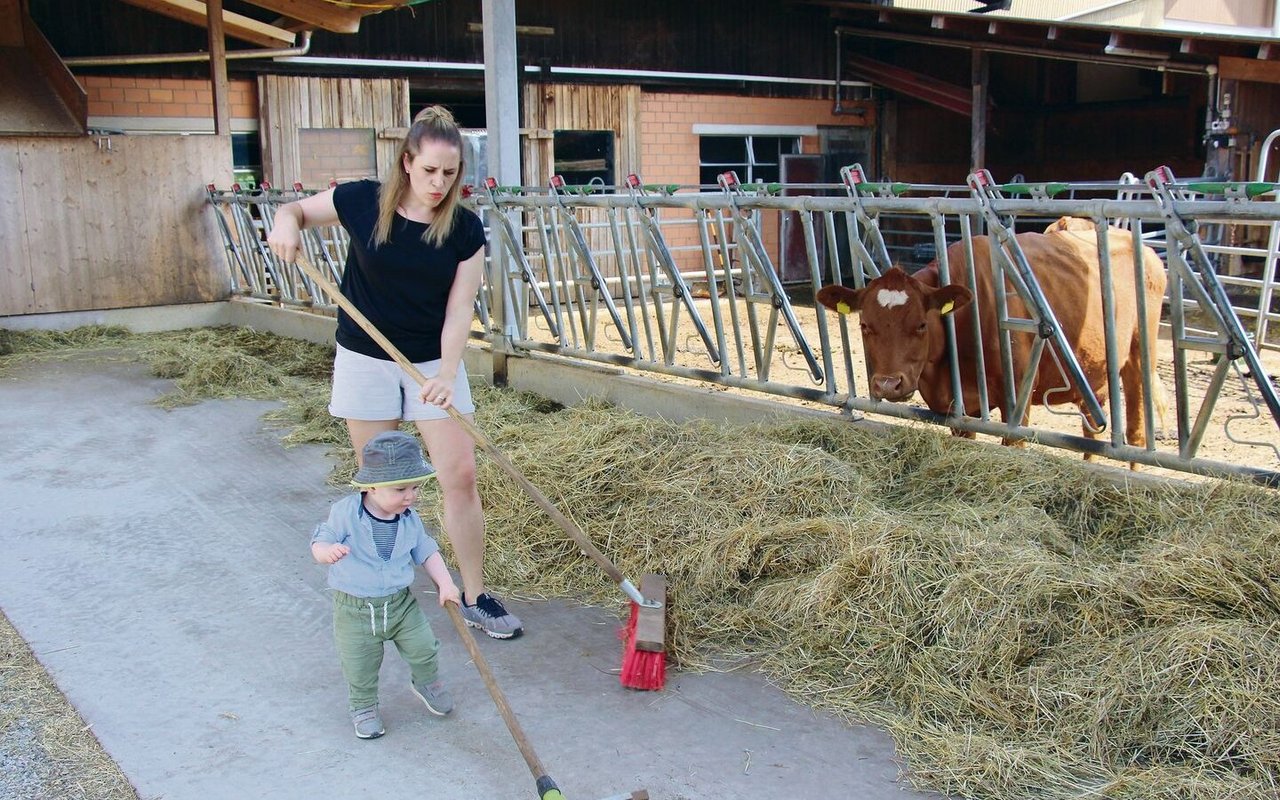 Söhnchen Manuel gefällt es, mit seiner Mutter im Kuhstall zu wirken. Zum Hof gehören 27 Mutterkühe und deren Nachwuchs. 