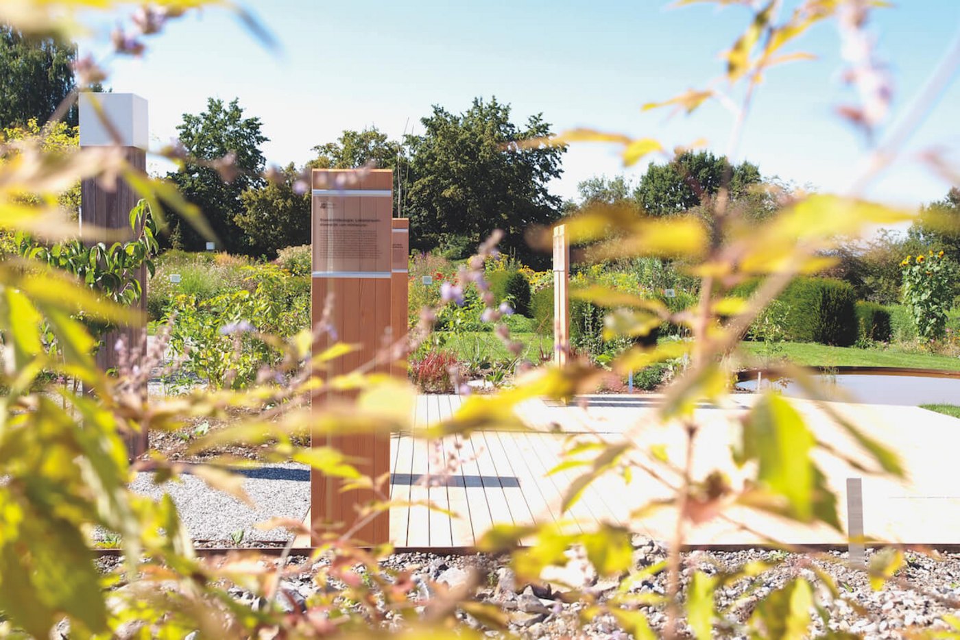 Der TMC-Garten in Wädenswil. (Fotos: zvG)