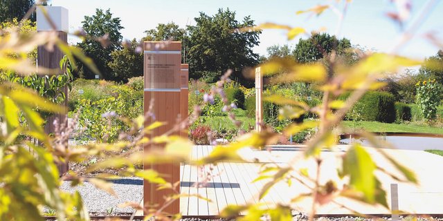Der TMC-Garten in Wädenswil. (Fotos: zvG)