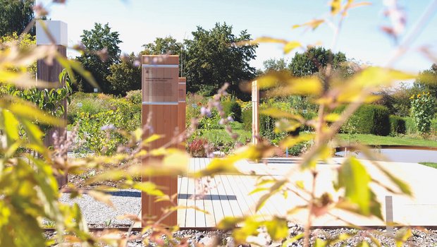 Der TMC-Garten in Wädenswil. (Fotos: zvG)