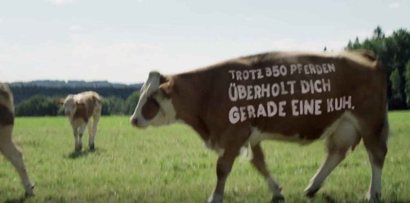 Die Deutsche Bahn setzt in ihrer neuen Kampagne auf «Staukühe». (Screenshot Youtube)