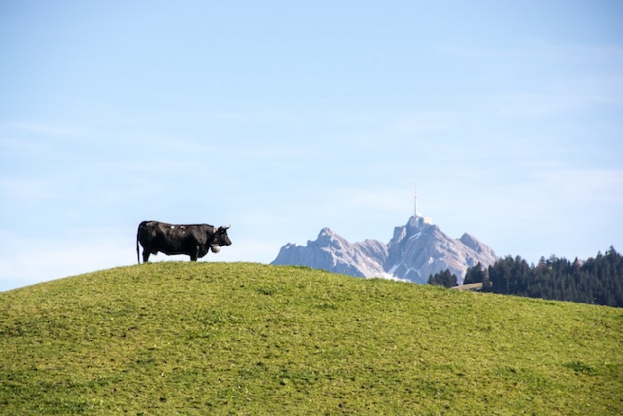 Der Wandel der Landwirtschaft beschäftigt die Politik. Die Vernehmlassung ist zunkunftsweisend für die AP 22+. (Bild Ivan Louis)