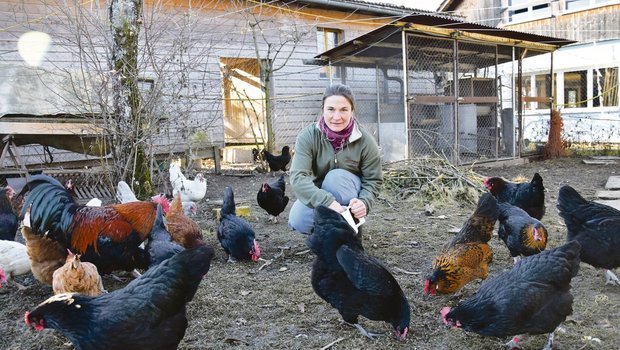«Ich wohne mit den Hühnern», sagt Eliane Rüscher. Vielleicht sind die Damen so zutraulich, weil sie direkt um und unter Rüschers Häuschen weiden.(Bild noe)