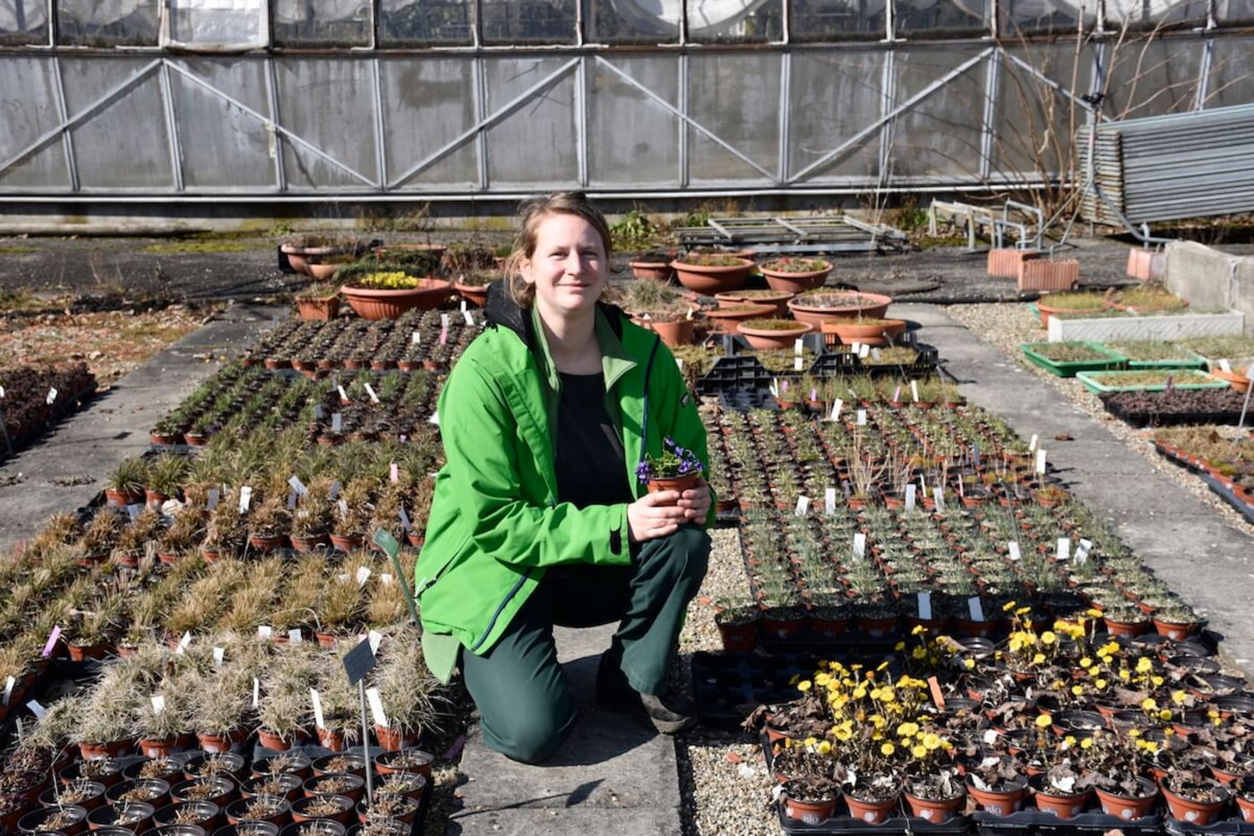Wildstaudenfachfrau Esther Sump. (Foto: Cornelia von Däniken)