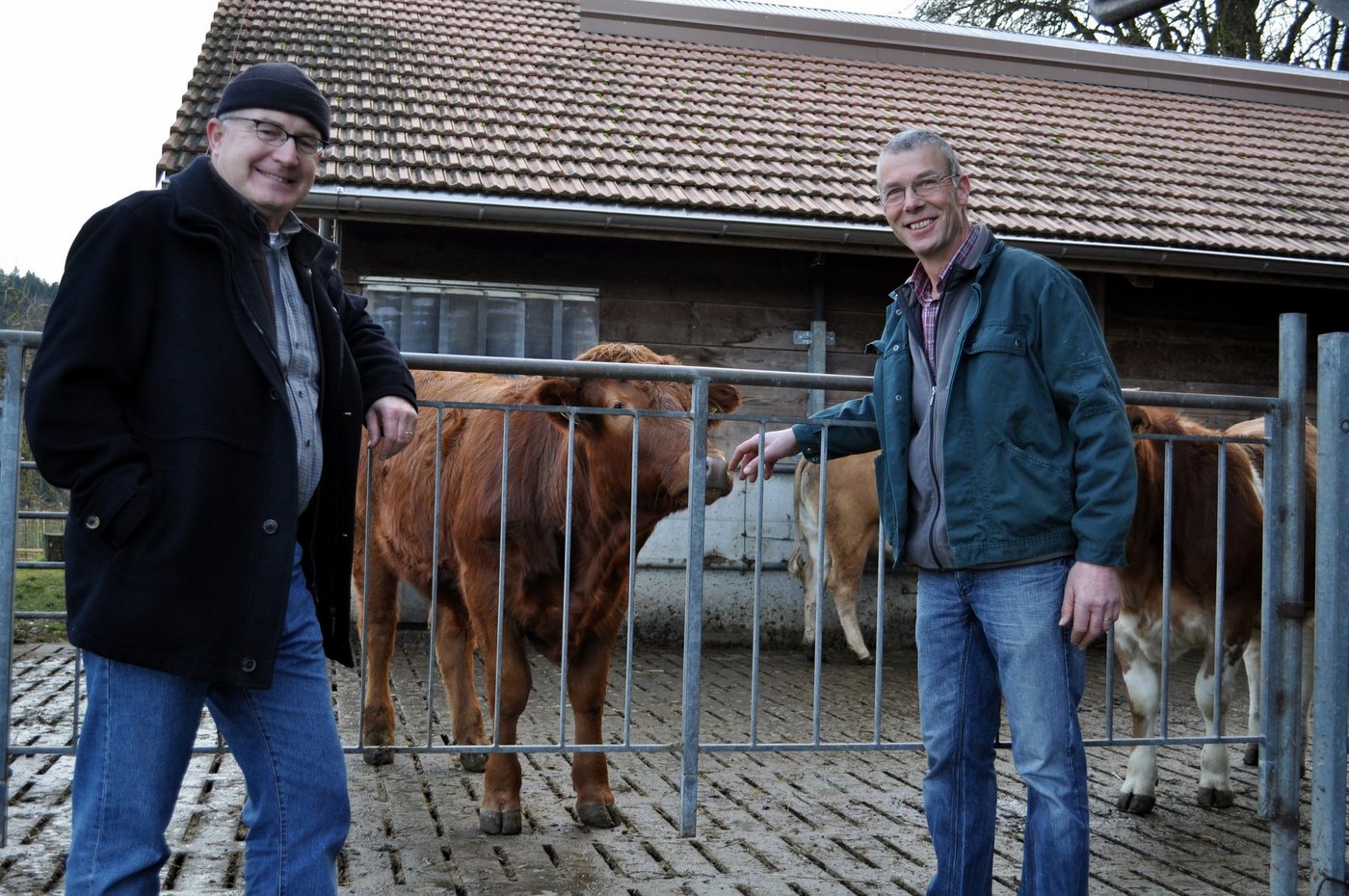 Urs Weyeneth (rechts) mästet in seinem Boxenlaufstall, in dem er noch vor drei Jahren Milchkühe hielt, Ochsen und Rinder. Bei seiner Umstellung erhielt er Unterstützung von Eric Meili, BiBL. (Bild ai)
