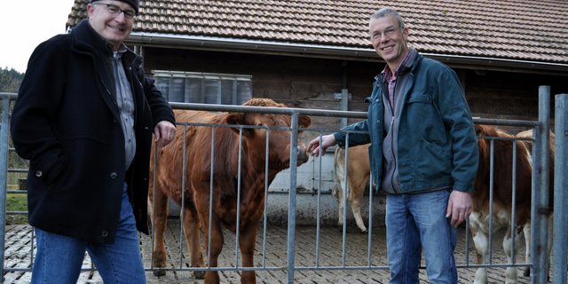 Urs Weyeneth (rechts) mästet in seinem Boxenlaufstall, in dem er noch vor drei Jahren Milchkühe hielt, Ochsen und Rinder. Bei seiner Umstellung erhielt er Unterstützung von Eric Meili, BiBL. (Bild ai)