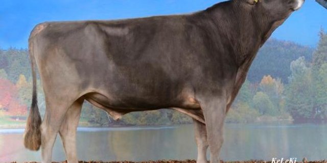 Scherma Glenn Blooming lebt nicht mehr. (Bild KeLeKi)