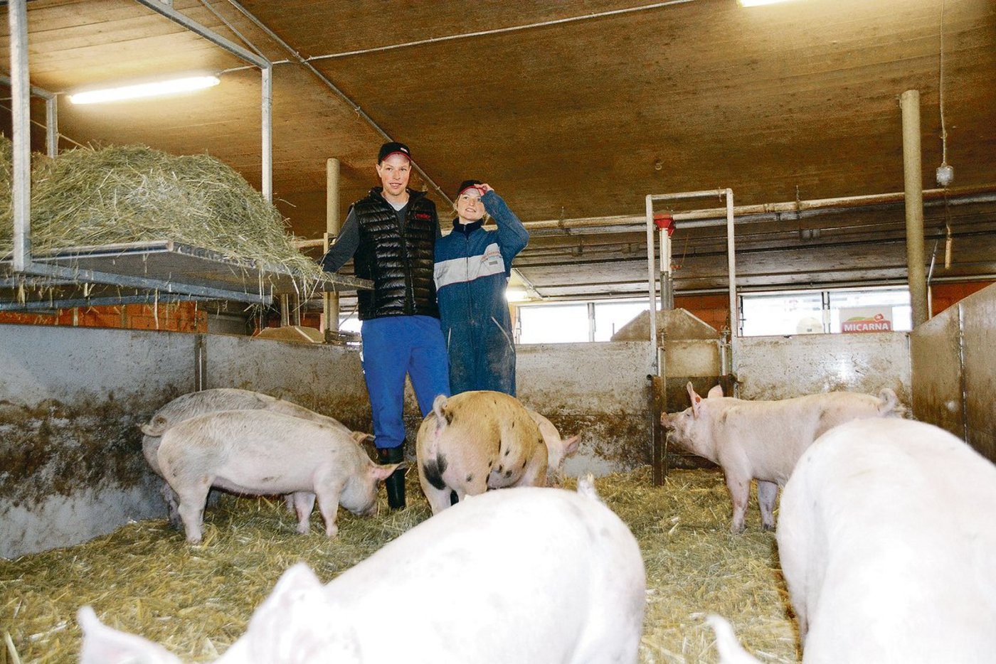 Brigitte und Walter Husy in ihrem Mastschweinestall. Sie setzen auf KB, ES x Premo oder ES x Duroc sorgt für feines Schweinefleisch. Links im Bild die «Seilbahn» für Heu und Stroh.(Bild Armin Emmenegger)