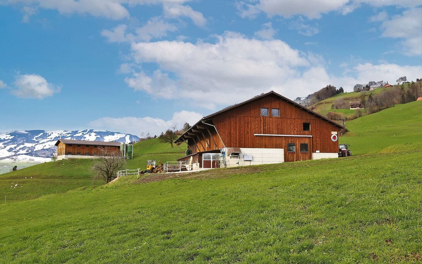 Der rechte Stall wurde zu einem Milchviehstall umgebaut, links im Hintergrund der QM-Mastschweinestall.