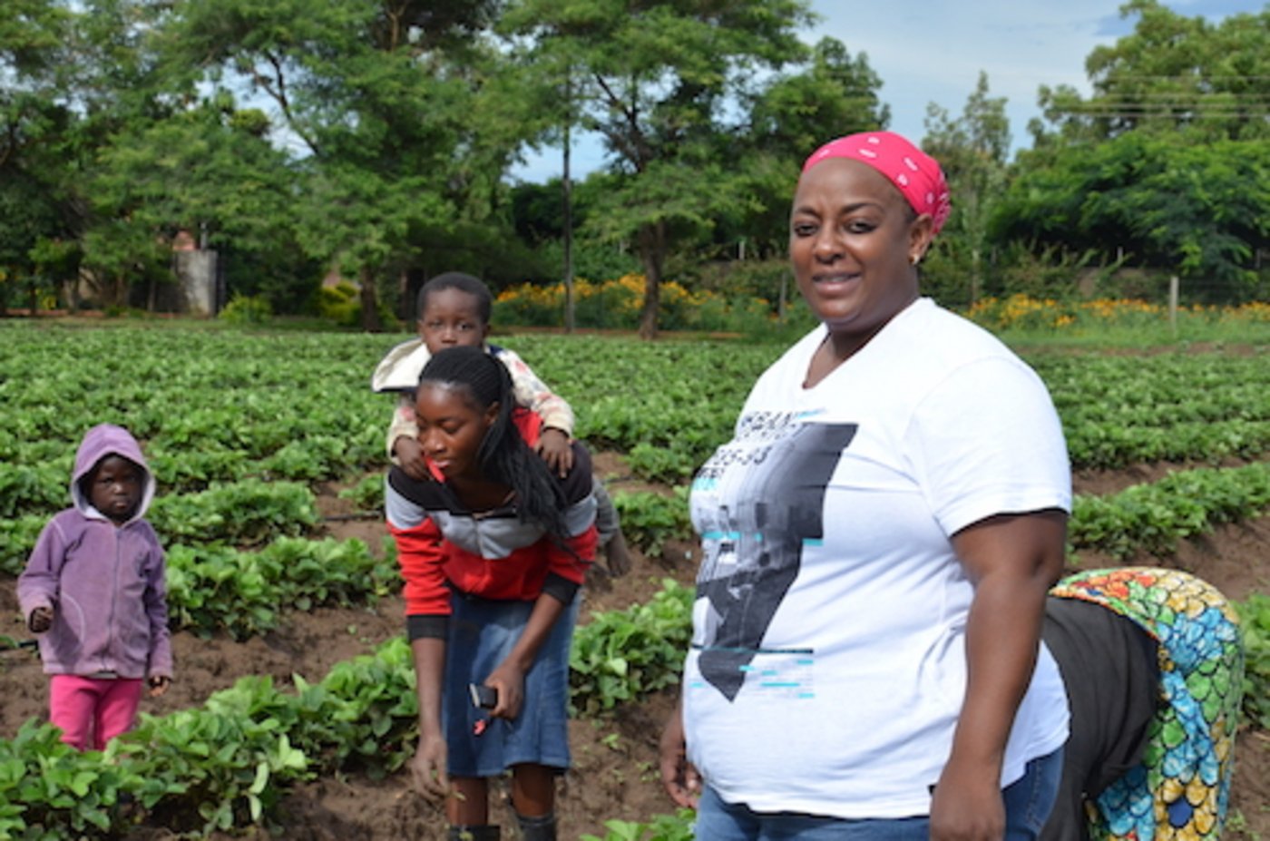 Bupe Chipili Mulapesi (rechts) baut in Sambia im grossen Stil Erdbeeren an. Sie produziert biologisch und stellt vor allem Frauen ein. (Bilder Marianne Stamm) 