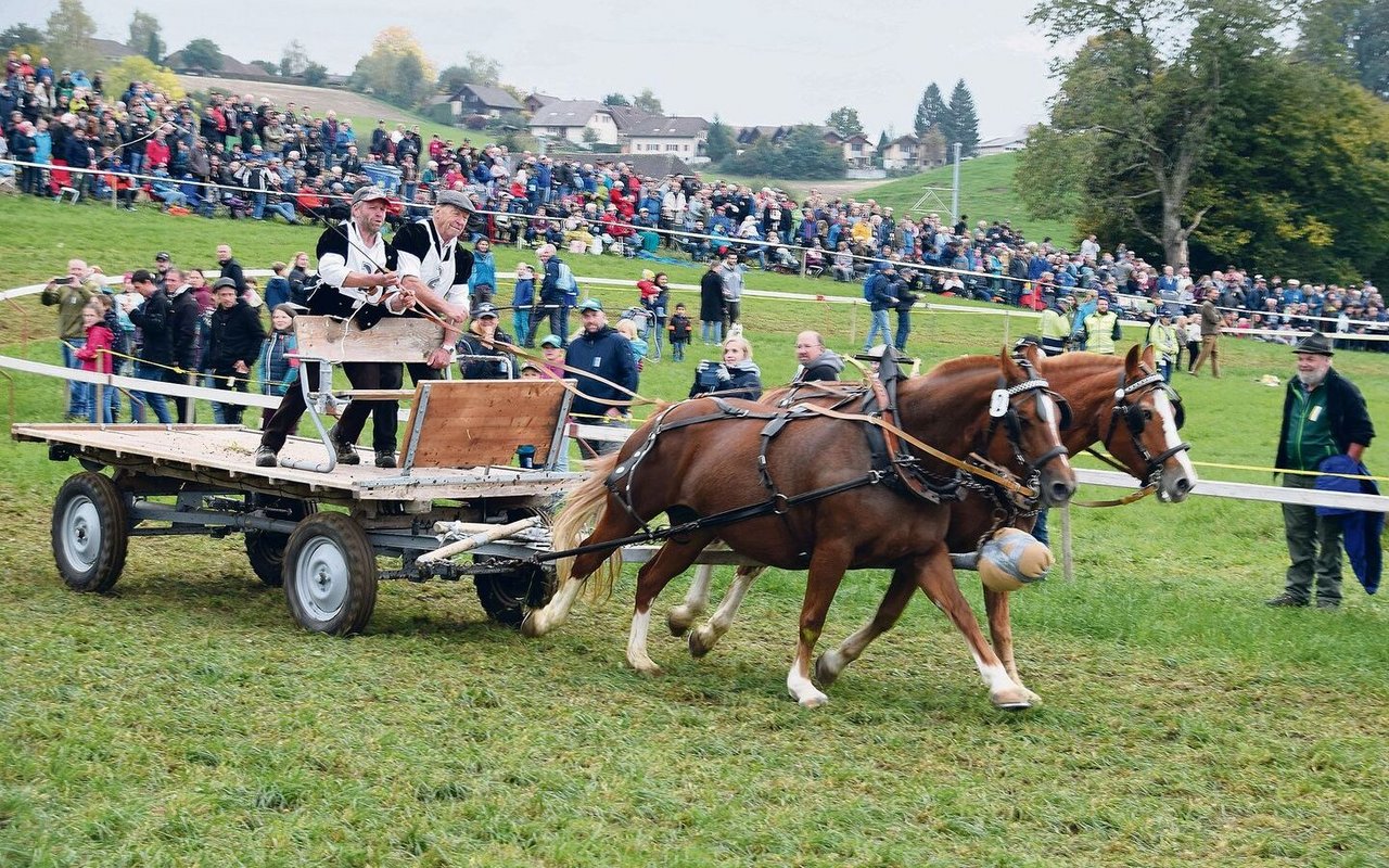 Das Gespann Oberli aus Schangnau erreichte den dritten Platz. 