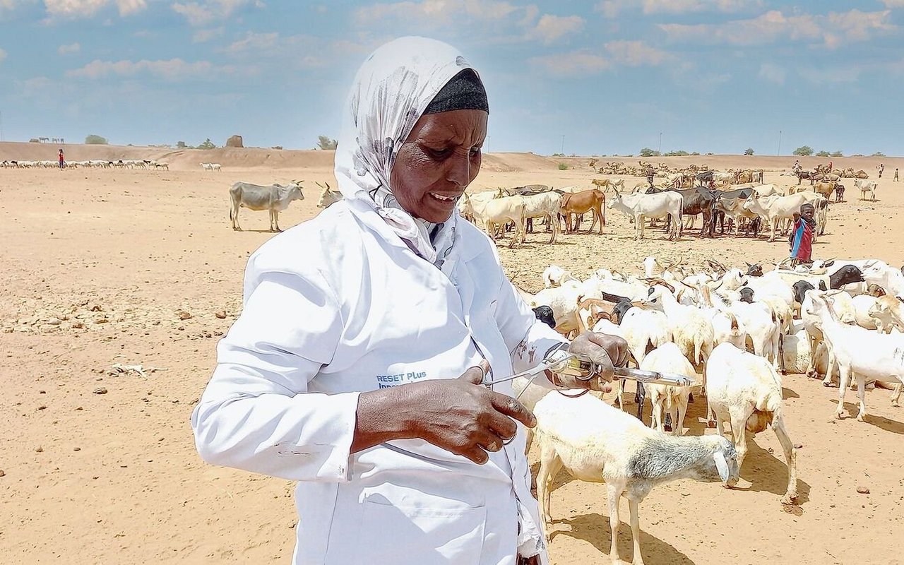 Eine von VSF-Suisse ausgebildete Tierhelferin bereitet in der äthiopischen Region Somali die Impfung von Ziegen vor.