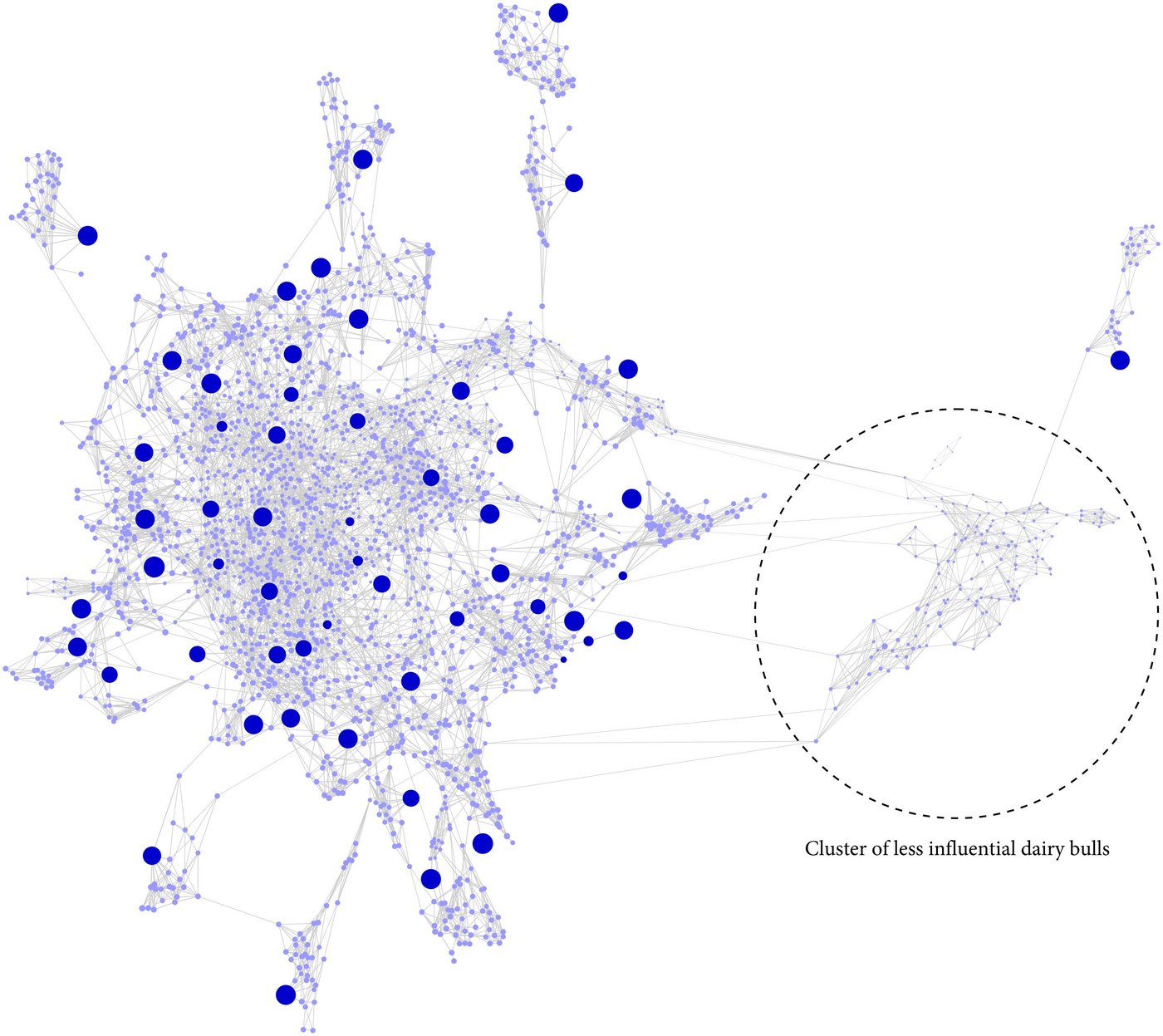 Mittels DNA-Informationen sollen bedeutsame Zuchttiere in Populationen erkannt werden. (Bild: Gyaneshwer Chaubey, Estonian Biocentre)