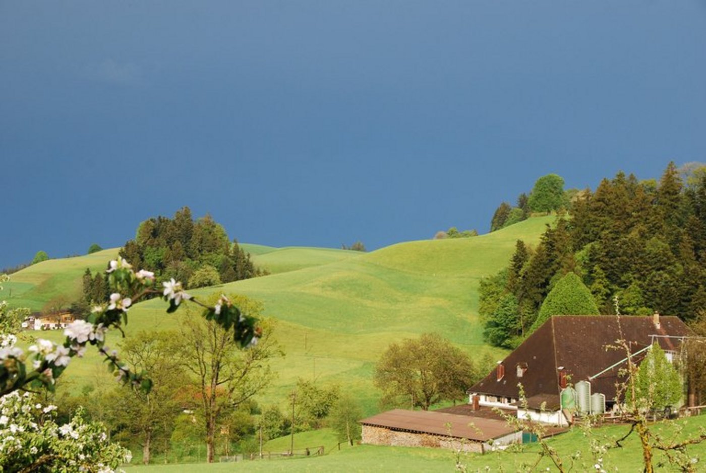 Die VKMB befürwortet die Bestrebungen, den Bauernbetrieben eine Weiterentwicklung im Sinne einer ressourcenschonenden Landwirtschaft zu geben. (Bild Stefanie Thomann/ landwirtschaft.ch)