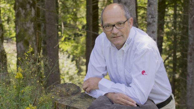 CVP-Ständerat Daniel Fässler liegt der Wald am Herzen, daher engagiert er sich in verschiedenen Rollen für Wald und Holzwirtschaft. (Bild Wald Schweiz)