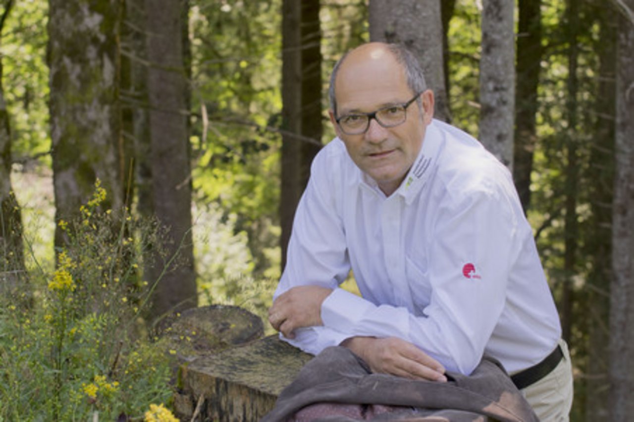 CVP-Ständerat Daniel Fässler liegt der Wald am Herzen, daher engagiert er sich in verschiedenen Rollen für Wald und Holzwirtschaft. (Bild Wald Schweiz)