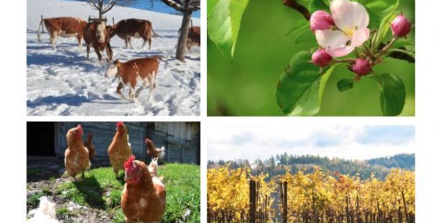 Landwirtschaft ist eine Arbeit im Rhythmus der Jahreszeiten. (Bilder BauZ/Pixabay)