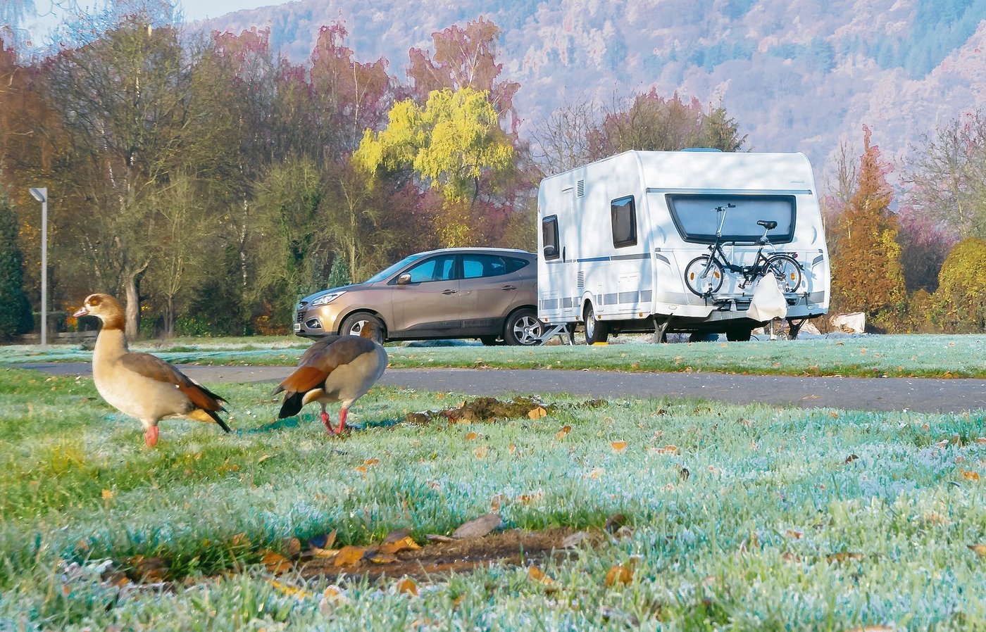 Die Möglichkeit, Stellplätze für Wohnmobile anzubieten, könnte nicht nur eine grosse Chance für einzelne Anbieter sein, sondern der ganzen Region Schaffhausen zugute kommen.(Bild Michael Ottersbach/pixelio.de)