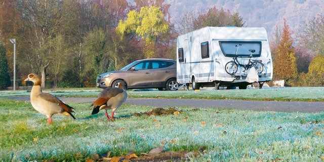 Die Möglichkeit, Stellplätze für Wohnmobile anzubieten, könnte nicht nur eine grosse Chance für einzelne Anbieter sein, sondern der ganzen Region Schaffhausen zugute kommen.(Bild Michael Ottersbach/pixelio.de)