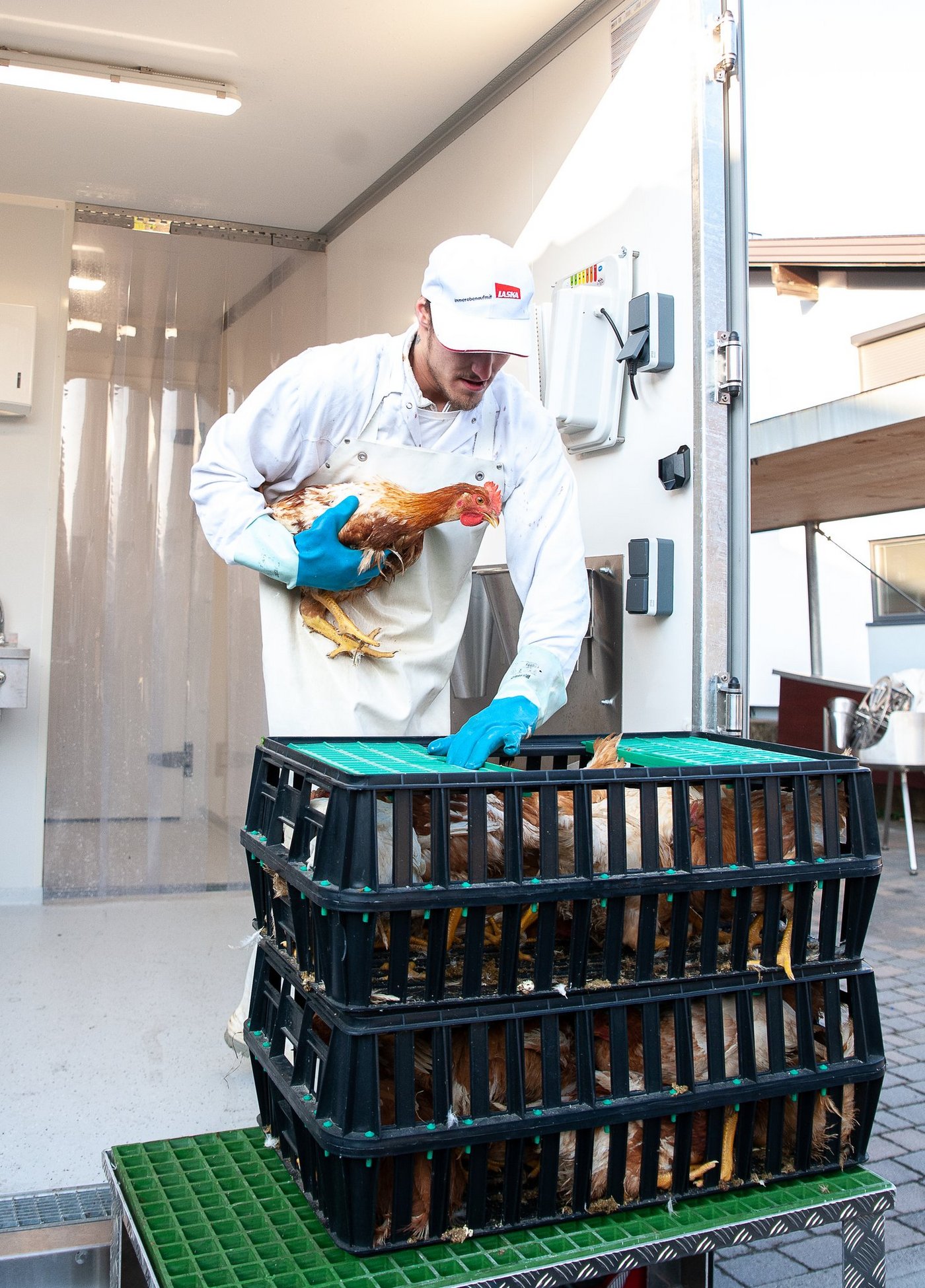Der Transportweg der Tiere ist sehr kurz. Sie werden vom Stall direkt zur Schlachteinheit auf dem Hof gebracht. (Bild: Christian Knapp)