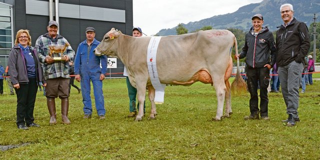 Schöneuter-Miss bei den mittleren Kühen und Tagessiegerin in der Kategorie Brown Swiss wurde Nescardo Kreta von Franz Durrer aus Kerns. (Bild Andrea Gysin)