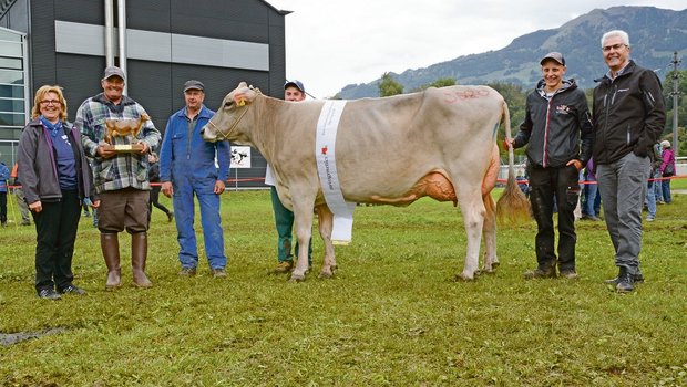 Schöneuter-Miss bei den mittleren Kühen und Tagessiegerin in der Kategorie Brown Swiss wurde Nescardo Kreta von Franz Durrer aus Kerns. (Bild Andrea Gysin)