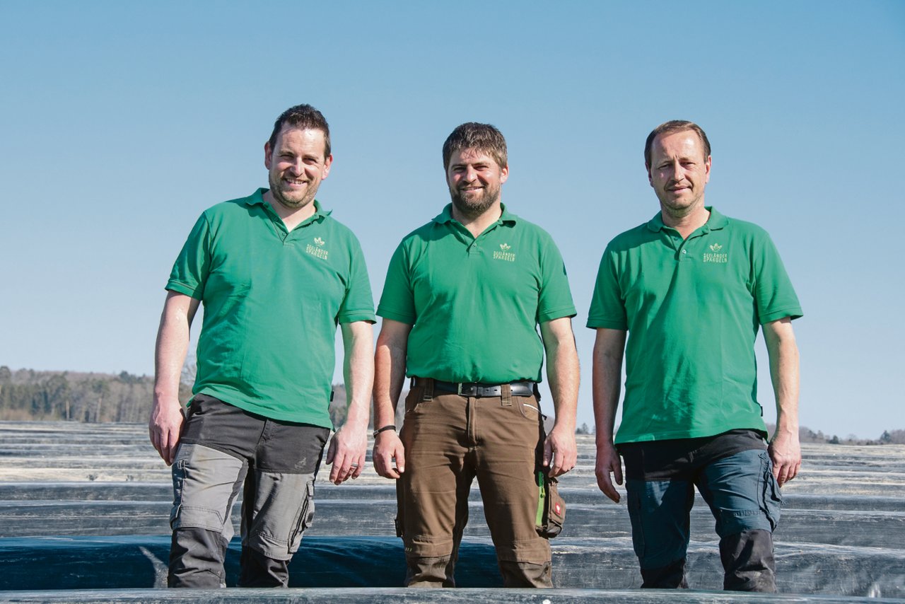 Sie bilden die heutige Seeländerspargeln GmbH (v. l. n. r.): Christian Hurni, Matthias Moser und Christian Dick.