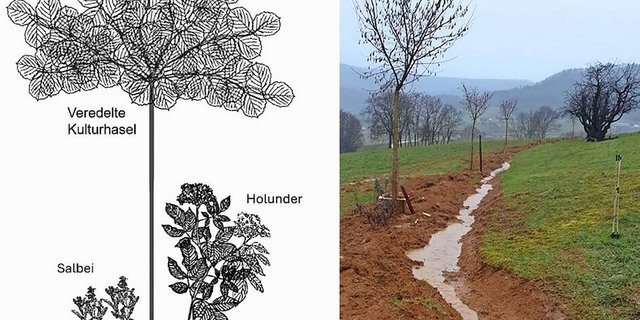 Keyline-Design im Querschnitt (links) und in der Praxis (rechts) während eines Regenereignisses.