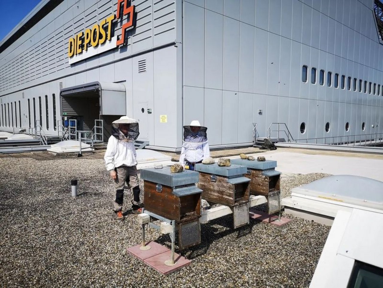 Auf dem Dach des Briefzentrums Zürich-Mülligen wird gestartet und gelandet - seit diesem Jahr hat die Post eigene Bienenstöcke. (Bild Post AG)